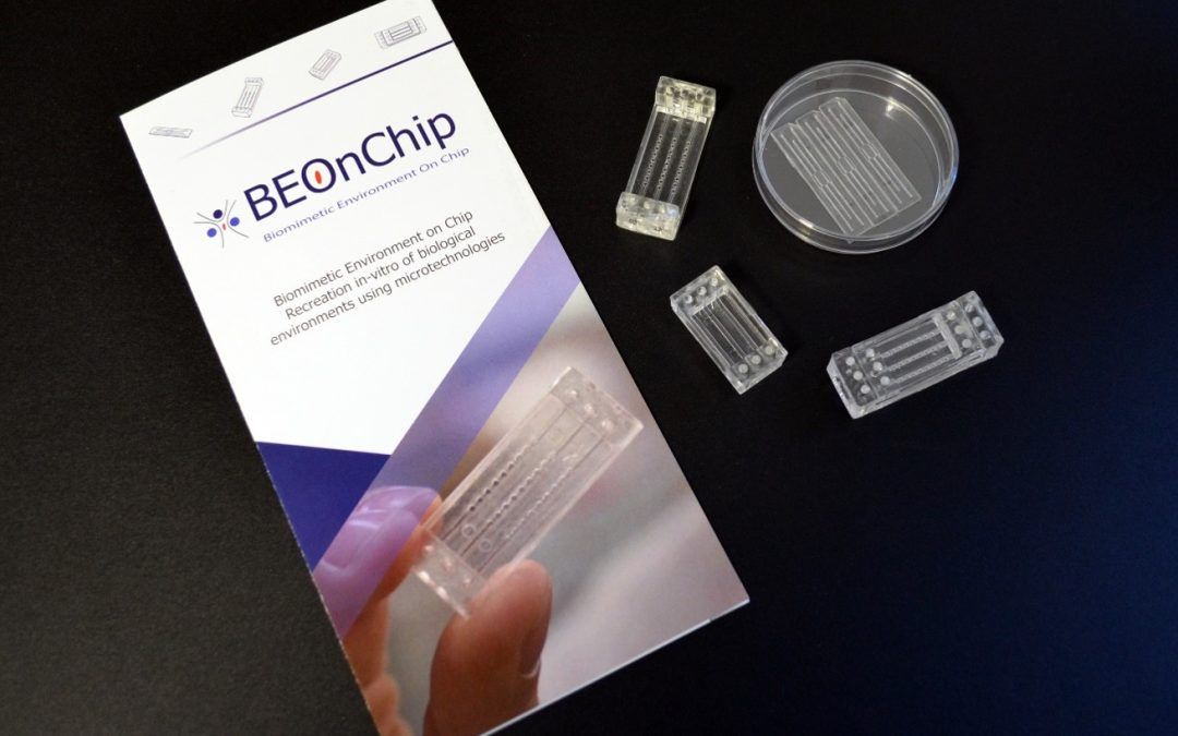 BEONCHIP: STARTUP ZARAGOZANA A LA CONQUISTA DEL MUNDO